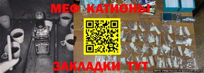 индика Кингисепп