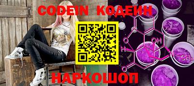 индика Кингисепп