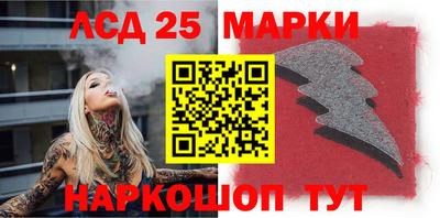индика Кингисепп