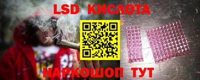 индика Кингисепп