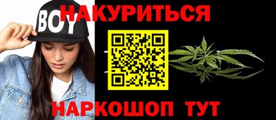 индика Кингисепп