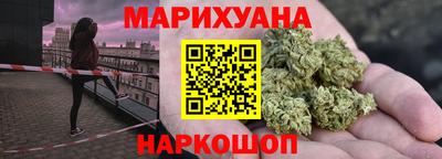 индика Кингисепп