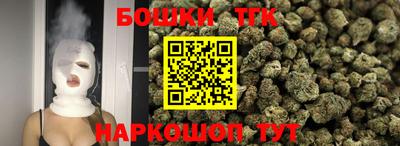 индика Кингисепп