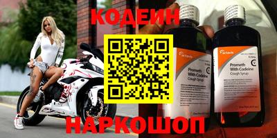 индика Кингисепп