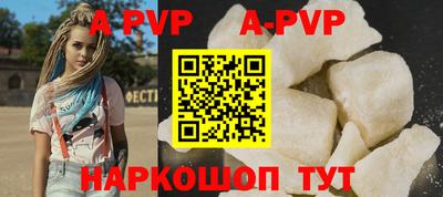 индика Кингисепп