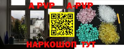 индика Кингисепп