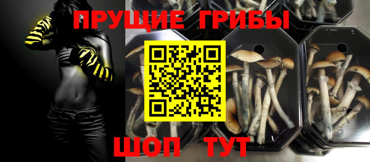 Галлюциногенные грибы Cubensis Ярославль