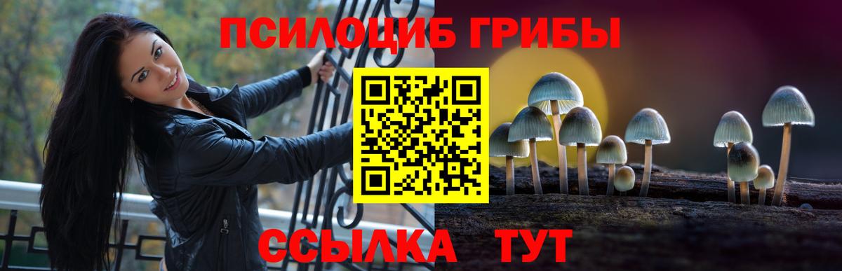 Ярославль  Галлюциногенные грибы GOLDEN TEACHER  Псилоцибиновые грибы прущие грибы  Вход с VPN 